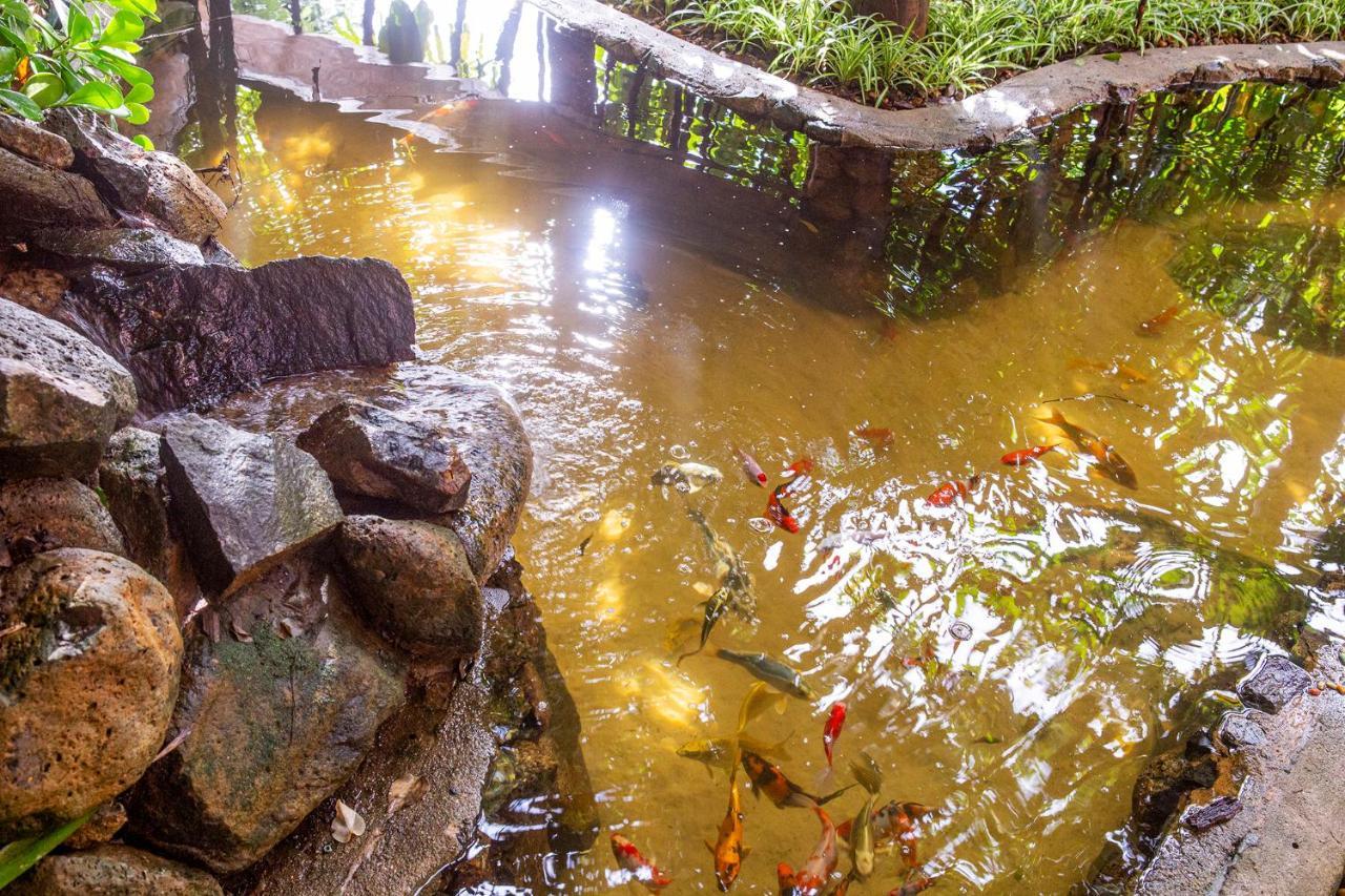 Hotel Alemao Beach De Ilhabela Bagian luar foto